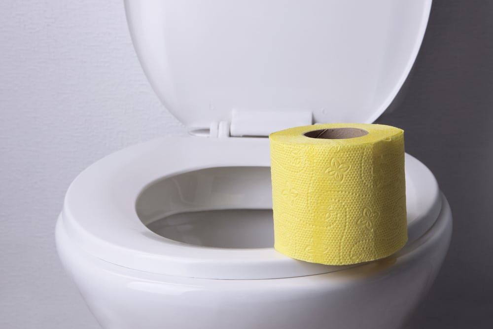 Toilettensitz